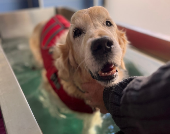 Fisioterapia y Rehabilitación